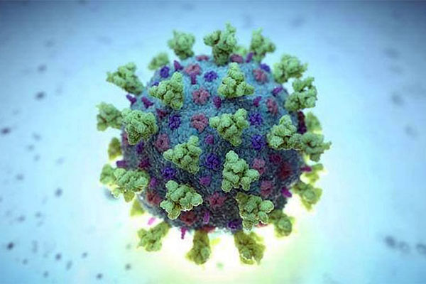 ভারতের করোনা পরিস্থিতি নিয়ে হু'র উদ্বেগ 