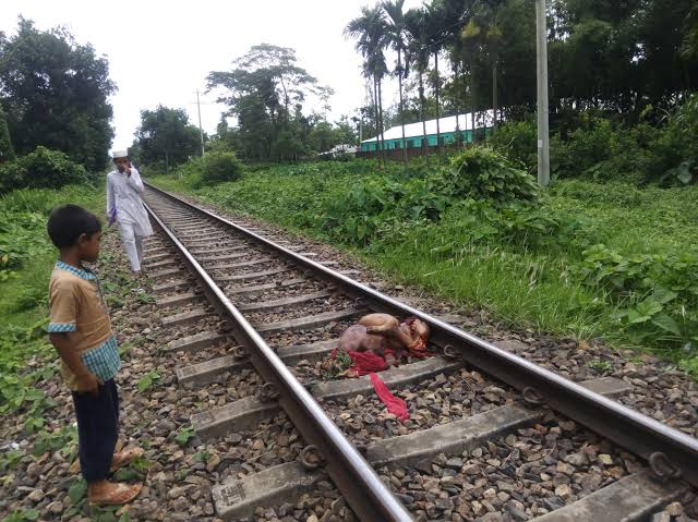 শায়েস্তাগঞ্জে ট্রেনে কাটা পড়ে এক ব্যক্তির মৃত্যু  