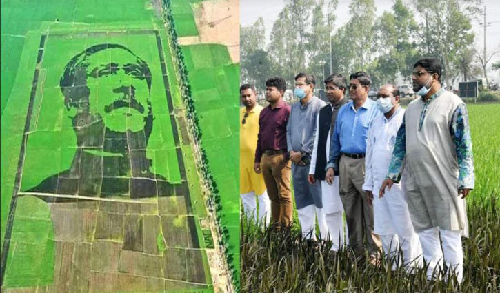 শস্যচিত্রে বঙ্গবন্ধু সবাইকে অনুপ্রাণিত করবে:  কৃষিমন্ত্রী
