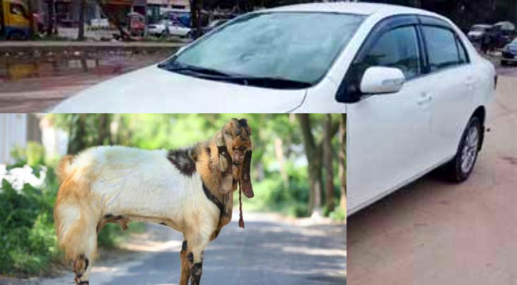প্রাইভেটকারে করে ছাগল চুরি