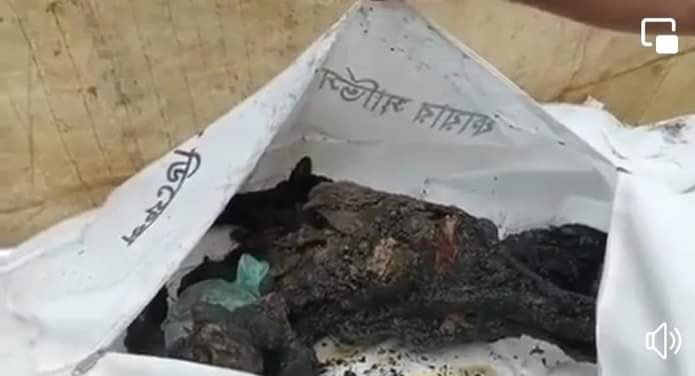 শিবগঞ্জে আগুনে পুড়ে প্রবাসীর স্ত্রীর মৃত্যু