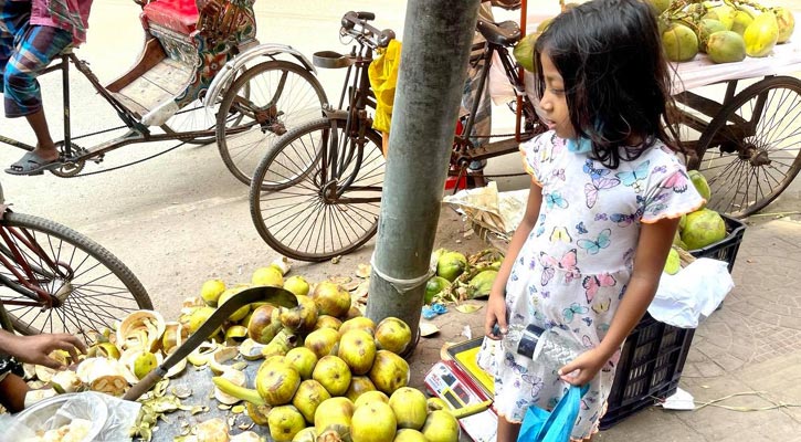 রাজকন্যা আয়েশার তালের শাঁসেই যেন মন ভরে