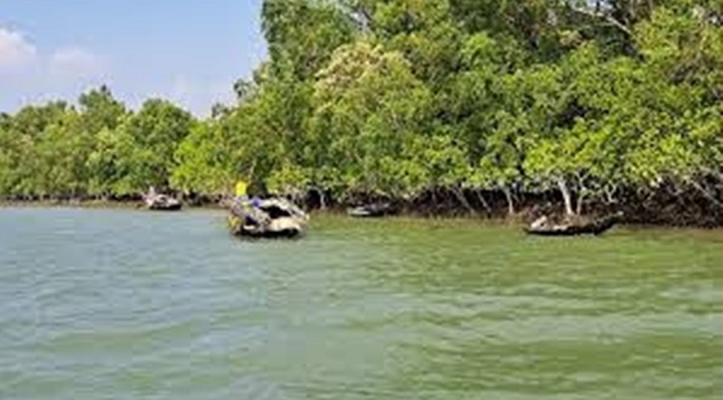 মুক্তিপণ দিয়ে লোকালয়ে ফিরেছেন সুন্দরবন সাতক্ষীরা রেঞ্জ হতে অপহৃত ৬ জেলে