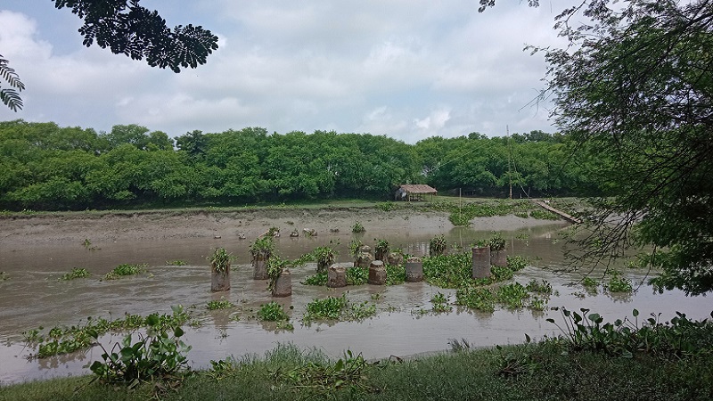 ২৬ বছরেও শেষ হয়নি কপোতাক্ষের কপিলমুনিতে সেতু নির্মাণ কাজ 