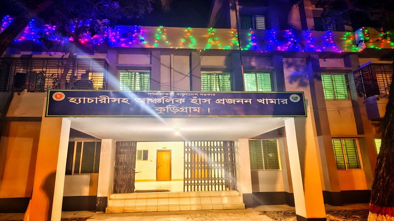 কুড়িগ্রামে আধুনিক হাঁস পালন সম্প্রসারণে সচেতনতা কার্যক্রম জোরদার,বাড়ছে নতুন উদ্যোক্তার অংশগ্রহণ