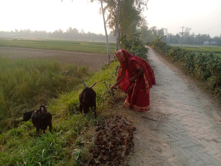 রায়গঞ্জের এনছাব আলী ও তার সহধর্মিণীর দিন যাচ্ছে অনেক কষ্টে