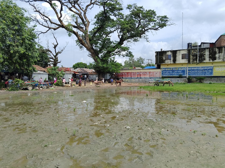 সামান্য বৃষ্টিতেই ডুবে যায় রায়গঞ্জের পাঙ্গাসী লায়লা মিজান স্কুল এন্ড কলেজ মাঠ