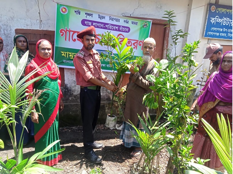 আনসার ও ভিডিপি দলনেতা মামুনের চারা বিতরণ 