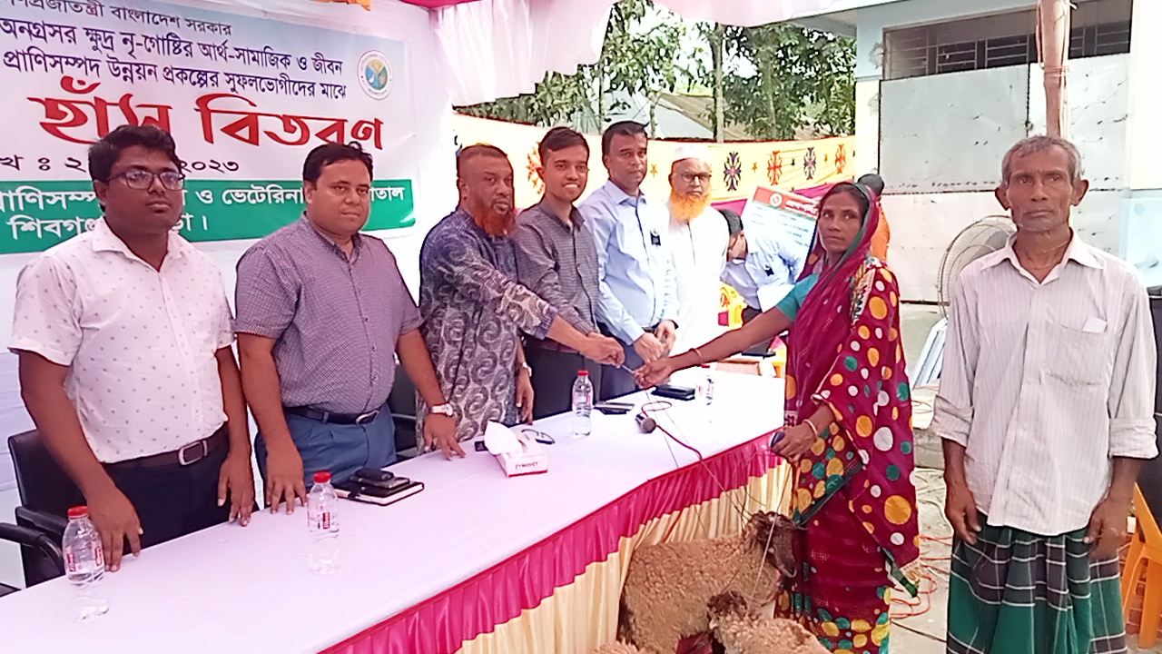 শিবগঞ্জে ক্ষুদ্র-নৃ-গোষ্টির মাঝে ভেড়া ও হাঁস বিতরণ 