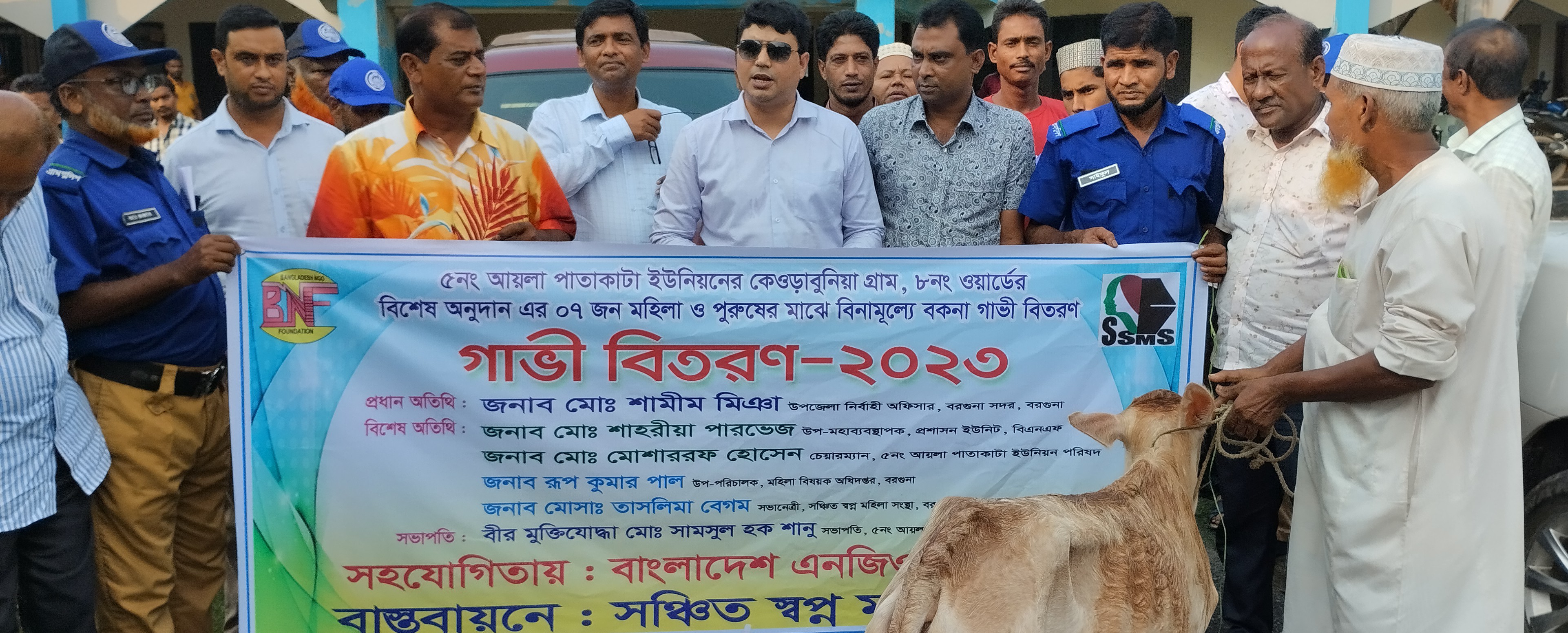 বাংলাদেশ এনজিও ফাউন্ডেশনের অর্থায়নে বরগুনায় গাভী বিতরণ