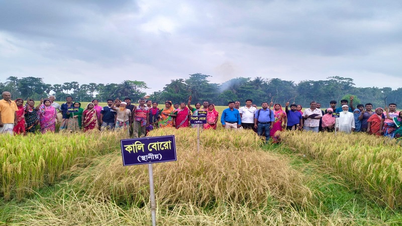 বটিয়াঘাটায় লোকজ’র উদ্যোগে ব্যতিক্রমধর্মী কৃষক মাঠ দিবস অনুষ্ঠিত