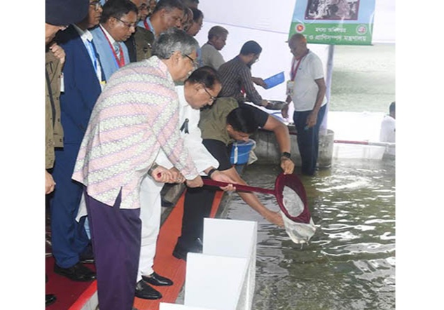 বঙ্গভবনের সিংহ পুকুরে মাছের বিভিন্ন প্রজাতির  পোনা অবমুক্ত করেছেন রাষ্ট্রপতি 