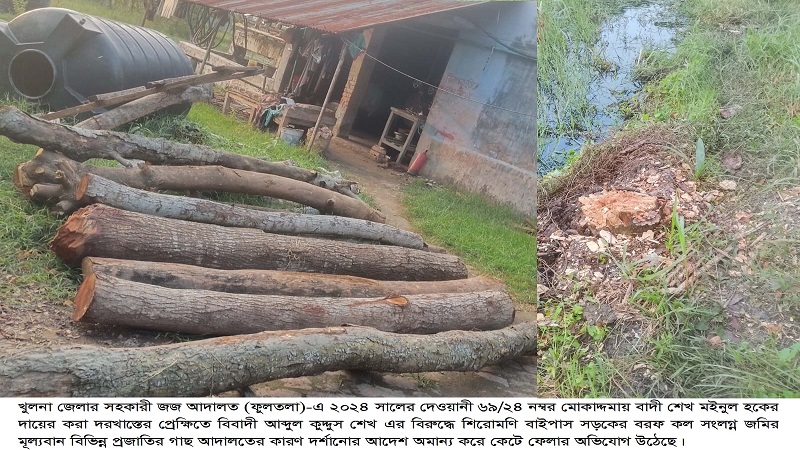 শিরোমণি বাইপাসে আদালতের আদেশ অমান্য করে গাছ কাটার অভিযোগে প্রশাসনের হস্তক্ষেপ কামনা