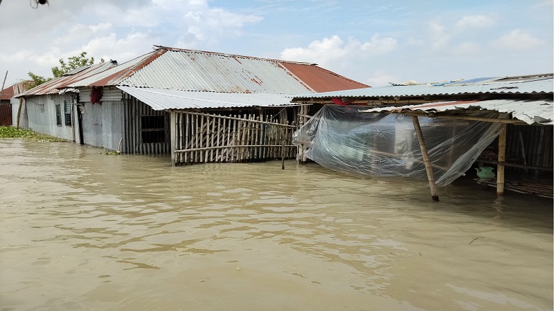 দৌলতপুরে পানিবন্দী ৬০ হাজার ডুবে গেছে সড়ক-ফসলি জমি ও শিক্ষাপ্রতিষ্ঠান,নতুন আতঙ্ক বিষধর সাপ