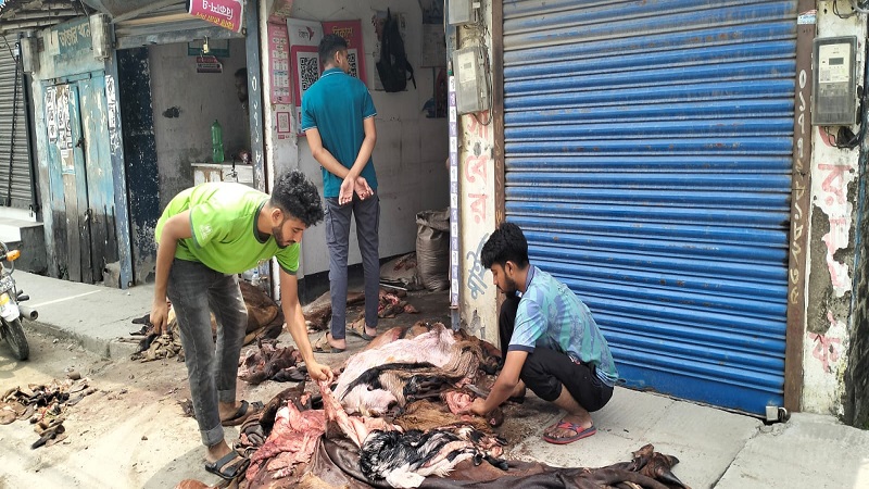 এবারও কোরবানির চামড়ার দাম নিয়ে হতাশ চাঁপাইনবাবগঞ্জের খুচরা বিক্রেতারা