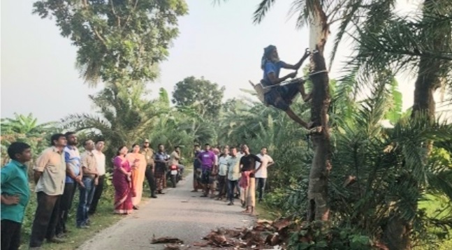 চৌগাছায় জিআই পণ্য খেজুর গুড় সংগ্রহ কার্যক্রম উদ্বোধন