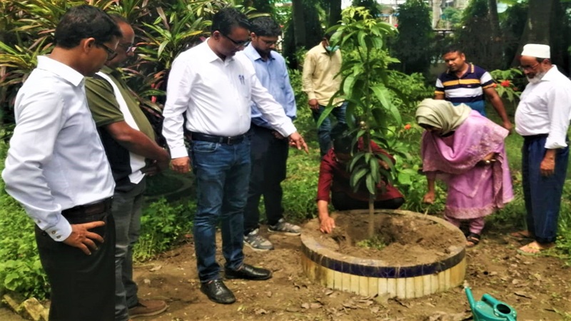 টাঙ্গাইল এলজিইডির বৃক্ষরোপণ কর্মসূচি পালিত