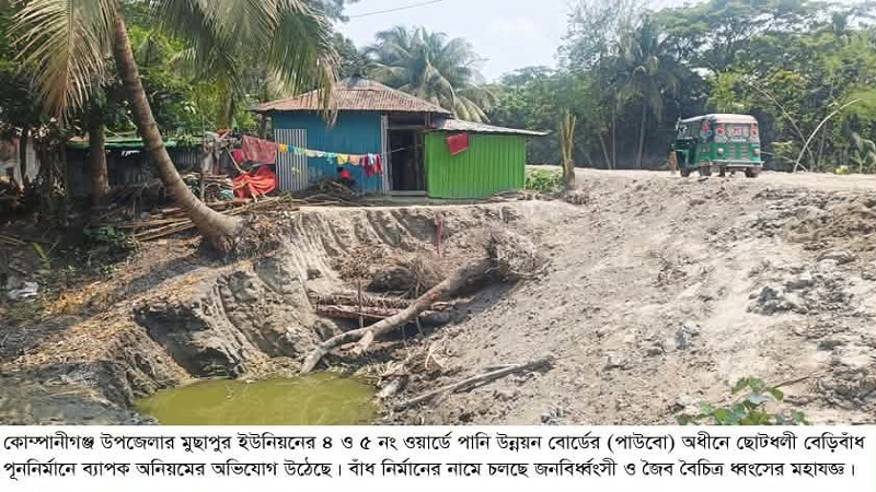 এমপির এলাকায় পাউবো’র বেড়িবাঁধ নির্মাণে ব্যাপক অনিয়ম, জনমনে তীব্র ক্ষোভ