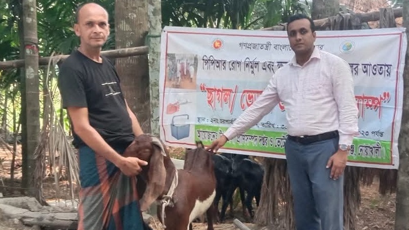 কোম্পানীগঞ্জে বিনামূল্যে পিপিআর রোগের টিকা প্রদান 