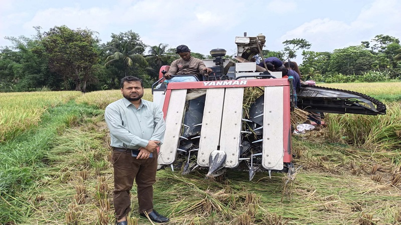 কোম্পানীগঞ্জে বোরো ধানের বাম্পার ফলন,ব্যস্ত কৃষক-কৃষাণীরা