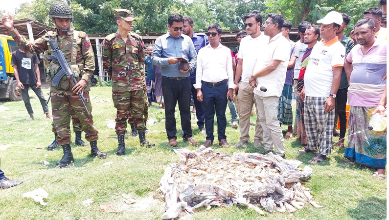 সাতক্ষীরায় ভ্রাম্যমান আদালতের অভিযানে অপদ্রব্য পুশকৃত চিংড়ি জব্দ,জরিমানা আদায়