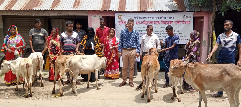 লোকজের উদ্যোগে সুবিধা বঞ্চিত হত-দরিদ্রদের মাঝে বিনামূল্যে গাভী বিতরণ